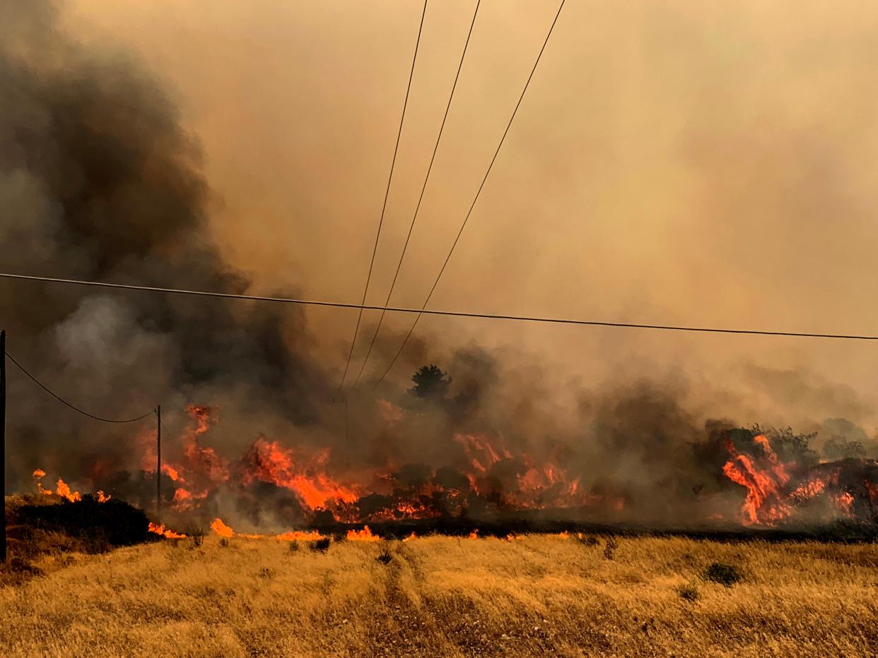 A fire burns trees and low vegetation in the Kiotari area of Rhodes (EPA)