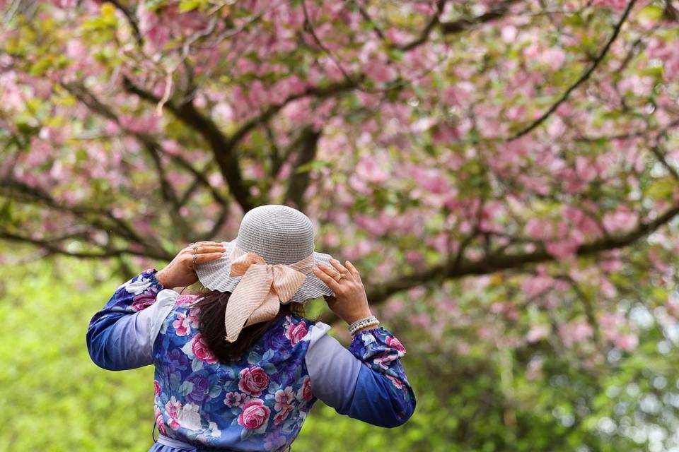 Temperatures may soar to 25C by the end of next week as much of the country will finally see an end to this Spring’s heavy rainfall (REUTERS)