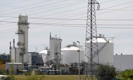 A general view shows the Air Products gas facory site at the industrial area of Saint-Quentin-Fallavier, near Lyon, France, June 26, 2015. REUTERS/Emmanuel Foudrot