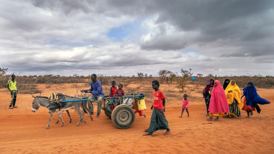 Der Klimawandel bedeutet für viele afrikanische Länder extreme Herausforderungen. (Bild: Jerome Delay /AP / dpa)