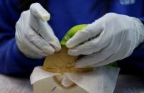 A worker from the Casa da Moeda do Brasil (Brazilian Mint) prepares a Rio 2016 Olympic medal in Rio de Janeiro, Brazil, June 28, 2016. REUTERS/Sergio Moraes