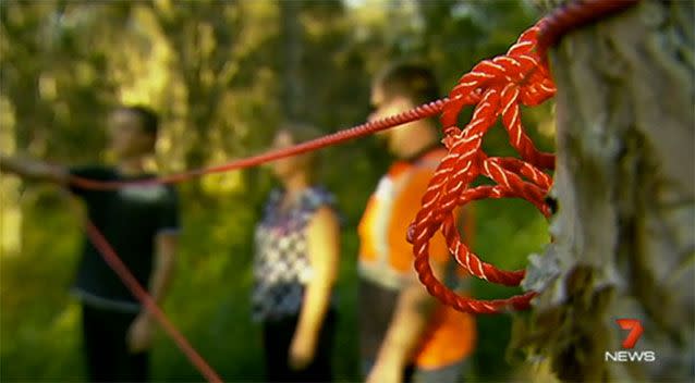 A number of traps have been found around the Brisbane area. Source: 7 News