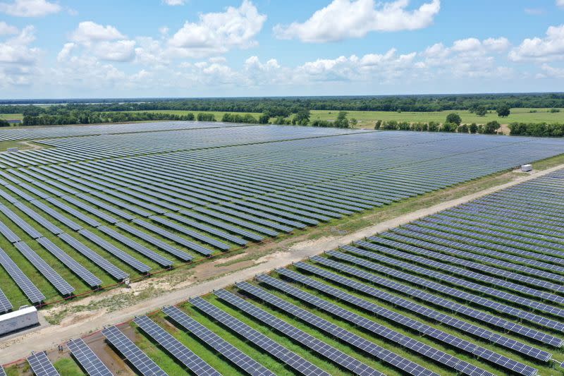 Solar panels are seen in this drone photo at the Impact solar facility in Deport, Texas