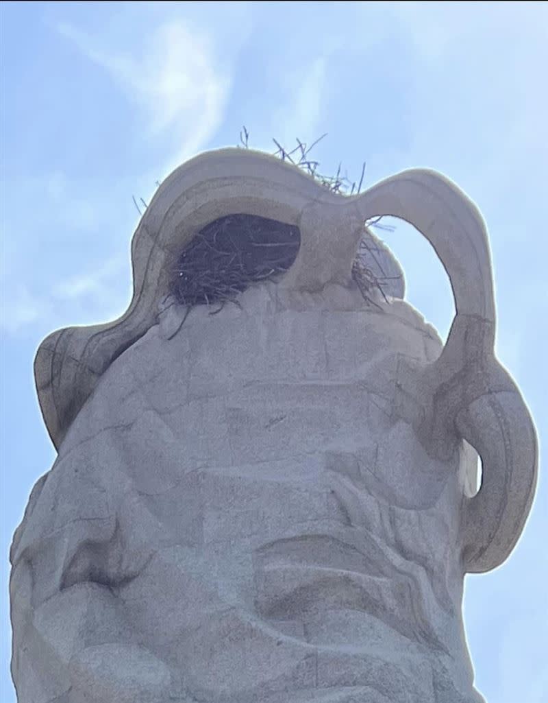 林默娘雕像頭部竟然被喜鵲築巢，公園處將待幼鳥長大後過一段時間再處理。（圖／翻攝李啟維臉書）