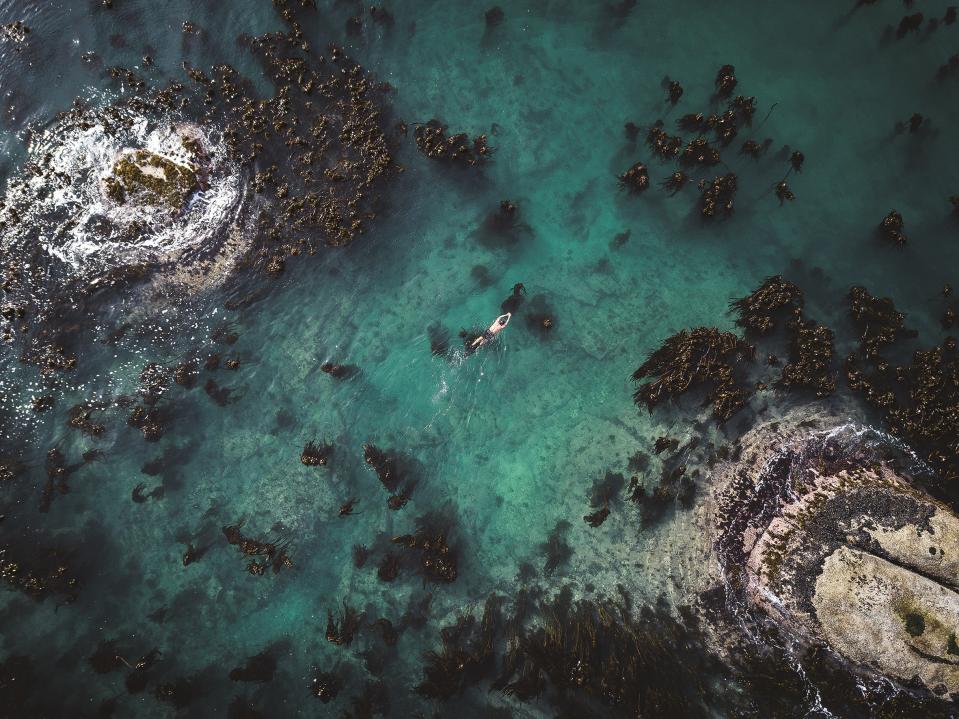 'Lo que el pulpo me enseñó' no es un mero documental sobre animales y naturaleza bajo el mar. Es mucho más. (Cortesía de Netflix)