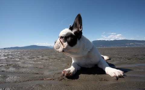 Take a deep breath - Credit: Alamy