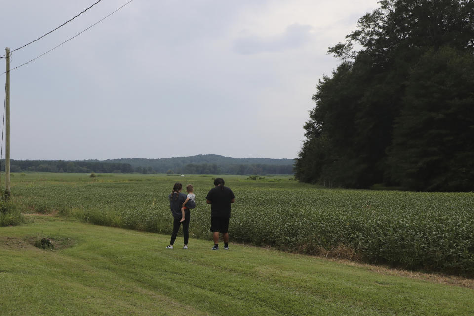 Spectators gather as a stolen airplane rests in a field of soybeans after crash-landing near Ripley, Miss., on Saturday, Sept. 3, 2022. Authorities say a man who stole a plane and flew it over Mississippi after threatening to crash it into a Walmart store faces charges of grand larceny and terroristic threats. Tupelo Police Chief John Quaka said Cory Wayne Patterson didn't have a pilot's license but had some flight instruction and was an employee of Tupelo Aviation. (AP Photo/Nikki Boertman)