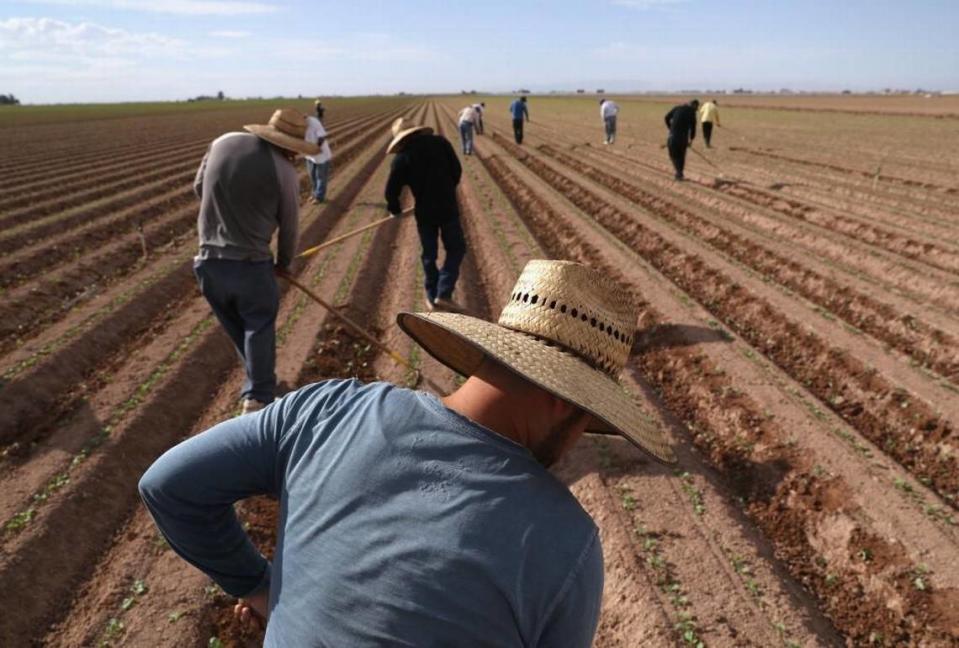 Mexican farm workers helped turn California into an agricultural empire that feeds the world, Stanislaus County Sheriff Jeff Dirkse says.