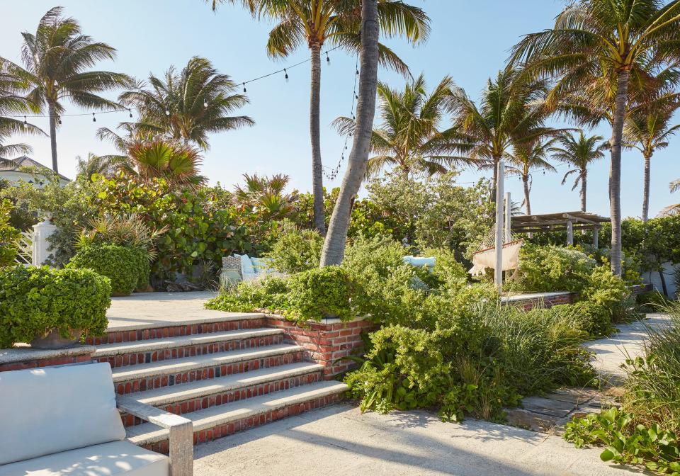 Bay cedars, sea lavenders and braceletwoods form the front-line shrub masses. Filling in the understory are dune stabilizing sea oats, dune grasses, railroad vine, beach morning glory, coastal ragweed and dune sunflower. Sea grapes and silver buttonwoods and assorted palms line the western wall.