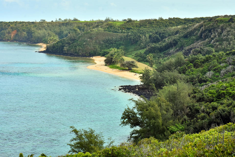 Esta foto de archivo del 15 de enero de 2017 muestra la playa pública de Pilaa, en el centro, debajo de la ladera y la tierra propiedad del CEO de Facebook, Mark Zuckerberg, cerca de Kilauea en la costa norte de Kauai en Hawai. (Ron Kosen / photospectrumkauai.com a través de AP, Archivo)