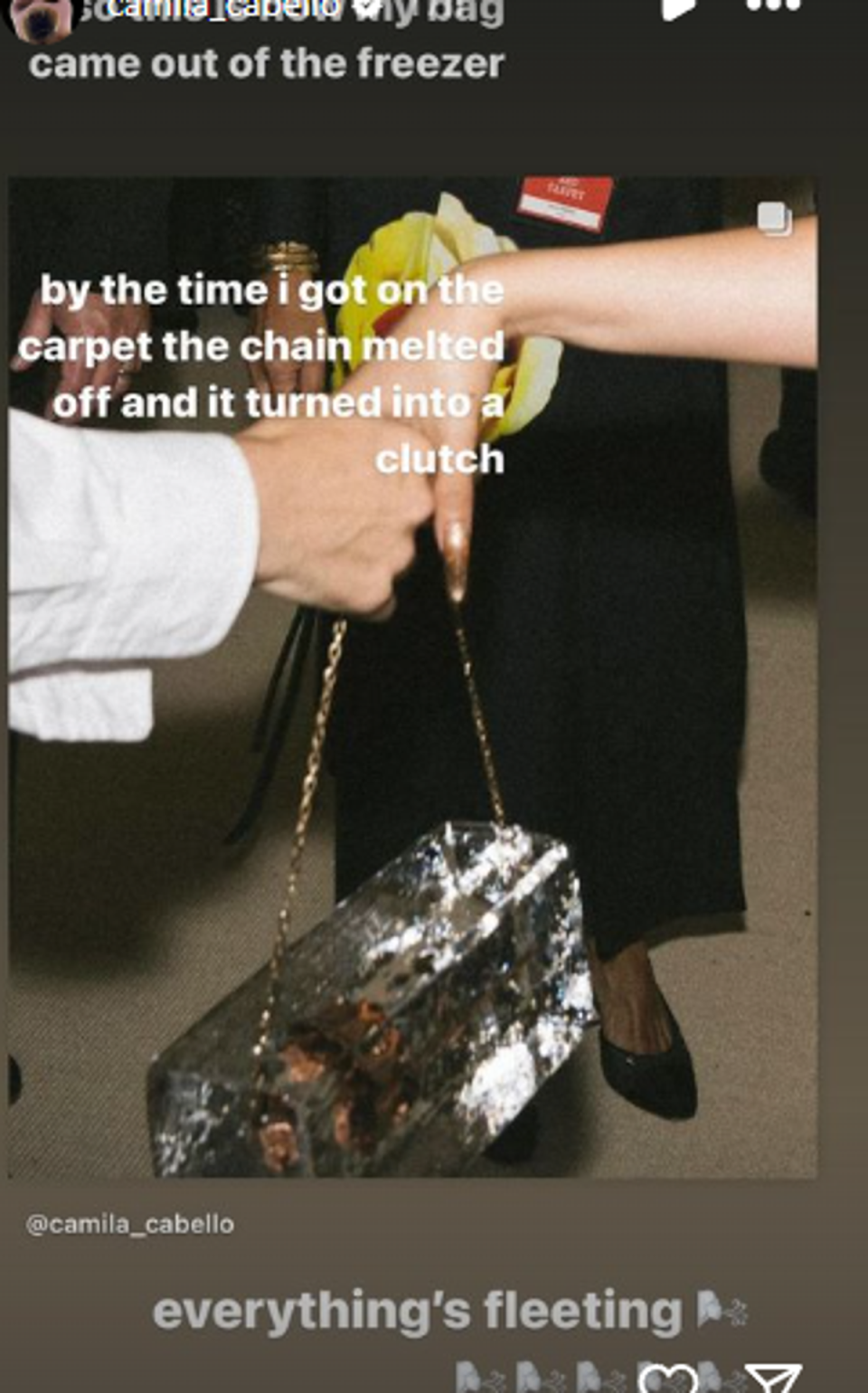 Camila Cabello shares behind-the-scenes look at Met Gala ice block purse (@camila_cabello / Instagram)