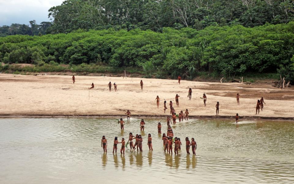 Members of the Mascho Piro tribe appear outside the forest to gather supplies for shelters
