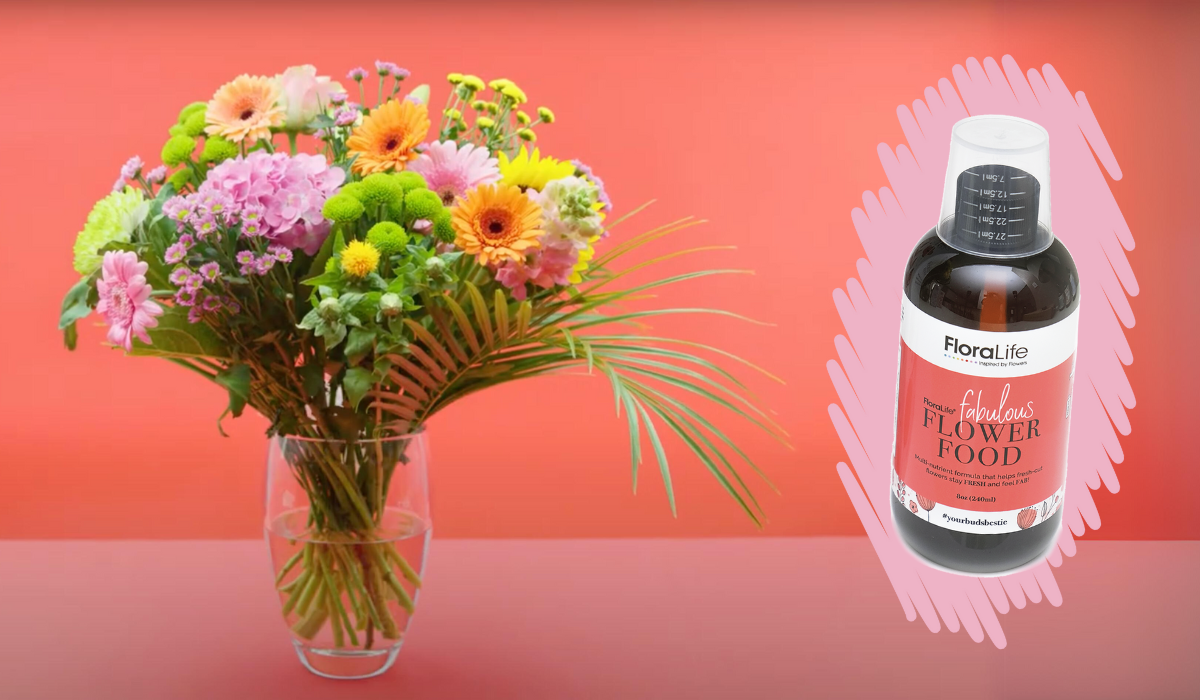 A glass vase of flowers, orange, pink, green and yellow. And a bottle of Fabulous Flower Food.