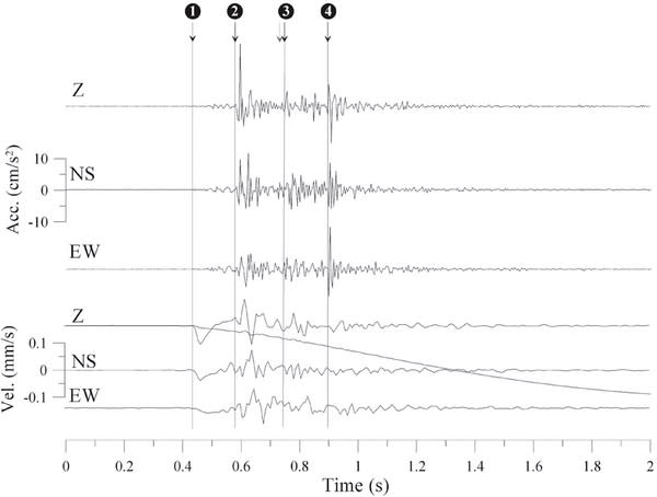 The seismometer record of the lightning strike and tree explosion.