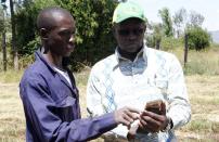 David Kayi, a Hello Tractor engineer, explains how the Hello Tractor mobile phone application works to Pascal Kaumbutho of Agrichem Africa limited, at a hay farm in Umande village in Nanyuki