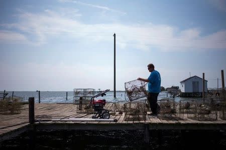 Local islander Jim Shores lays out his crab traps to dry along a dock on Tangier Island, Virginia, U.S., August 3, 2017. REUTERS/Adrees Latif