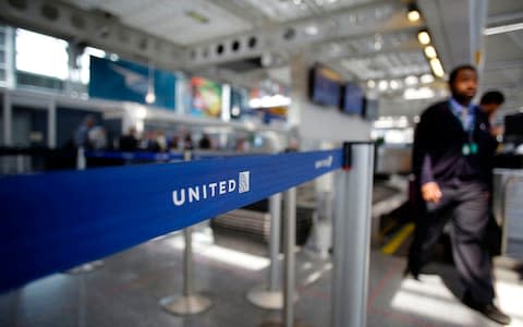 United Airlines dog dies  - Credit: AFP