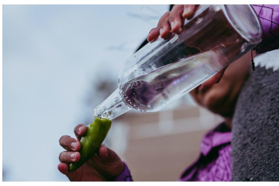 Festival del Mezcal en Comala, Colima.