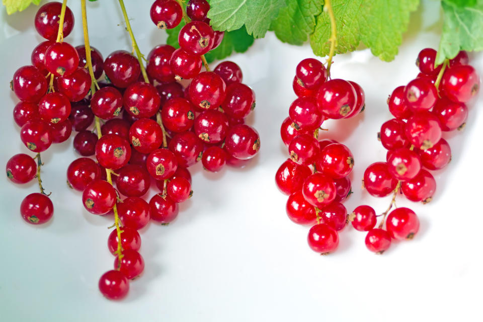 Rote Beeren wie die Johannisbeere können sich positiv auf Blutdruck und Cholesterinwerte auswirken. (Bild: Getty Images)