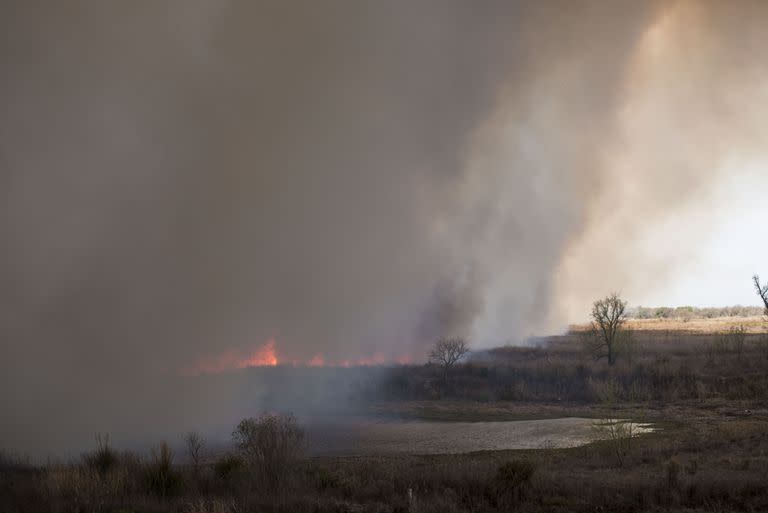 Nuevos focos de incendio se avivaron hoy en zonas cercanas a la ruta 174 que va a Victoria, sobre las islas entrerrianas, debido al intenso viento