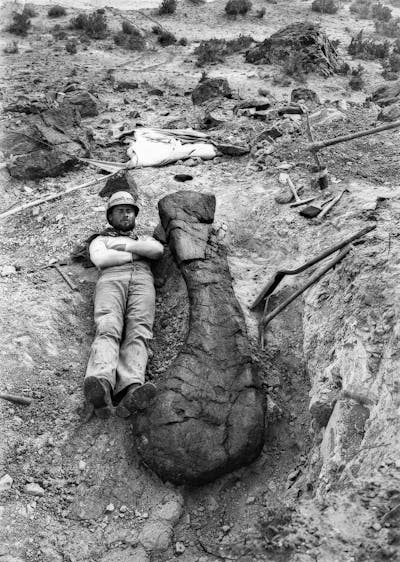 El paleontólogo Elmer Riggs posa junto a un gigantesco húmero de <em>Brachiosaurus</em> encontrado en Colorado (Estados Unidos) en 1900. <a href="https://www.facebook.com/fieldmuseum/posts/the-fields-first-paleontologist-elmer-riggs-led-an-expedition-to-grand-junction-/10155521480707273/" rel="nofollow noopener" target="_blank" data-ylk="slk:Field Museum;elm:context_link;itc:0;sec:content-canvas" class="link ">Field Museum</a>