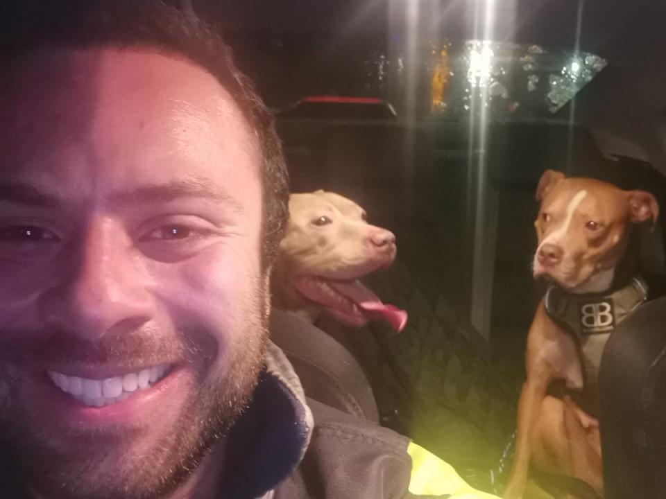 Sammy Wilkinson drove two dogs from his home in the West Midlands to Scotland where new rules on the breed don’t apply (Sammy Wilkinson / Facebook)
