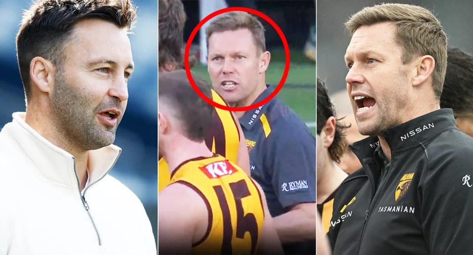 Jimmy Bartel has praised Sam Mitchell's coaching for Hawthorn in 2024 after a fiery incident with one of his players early in the season. Pic: Getty