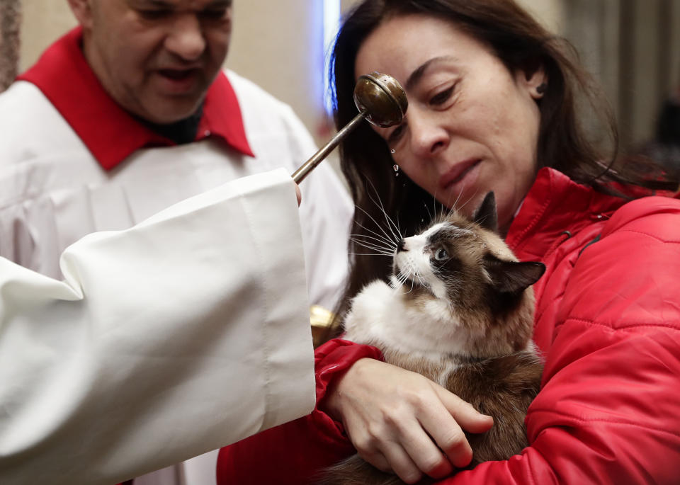 A priest anoints a cat during the feast of Saint Anthony, Spain’s patron saint of animals, in Madrid, Jan. 17, 2019. (Photo: Manu Fernandez/AP)