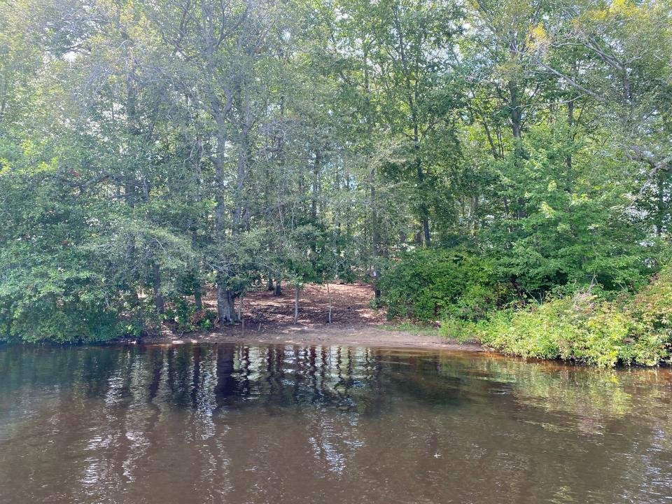 Residents near Sabbatia Lake in Taunton say this island on the lake, seen here on Monday, Aug. 14, 2023, has been attracting out-of-towners partying on the island every weekend for a month.