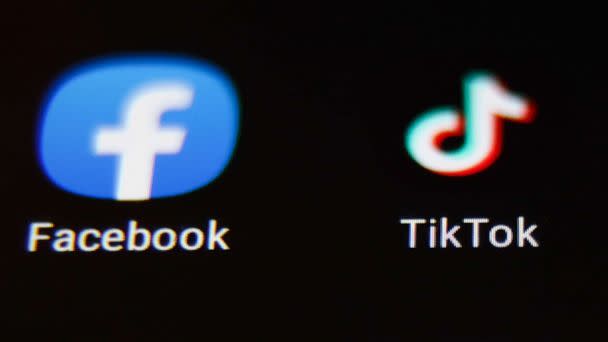 PHOTO: Facebook and TikTok icons is seen displayed on a phone screen in this illustration photo. (NurPhoto via Getty Images)