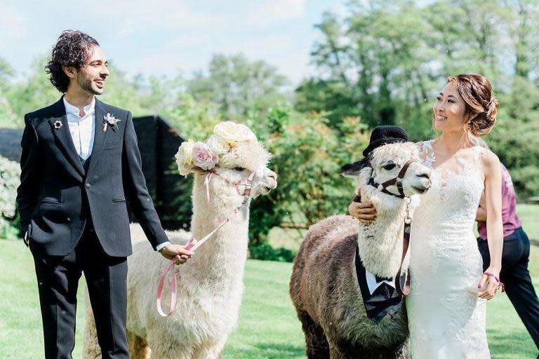 Pets, vegan menus and charity donations named as top wedding trends this season