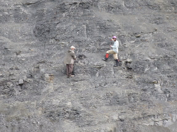 The elasmosaur bones are embedded about halfway up a 60-foot cliff face. Here, Druckenmiller (right) and the fossil collector who discovered the bones, Curvin Metzler, explore the site.