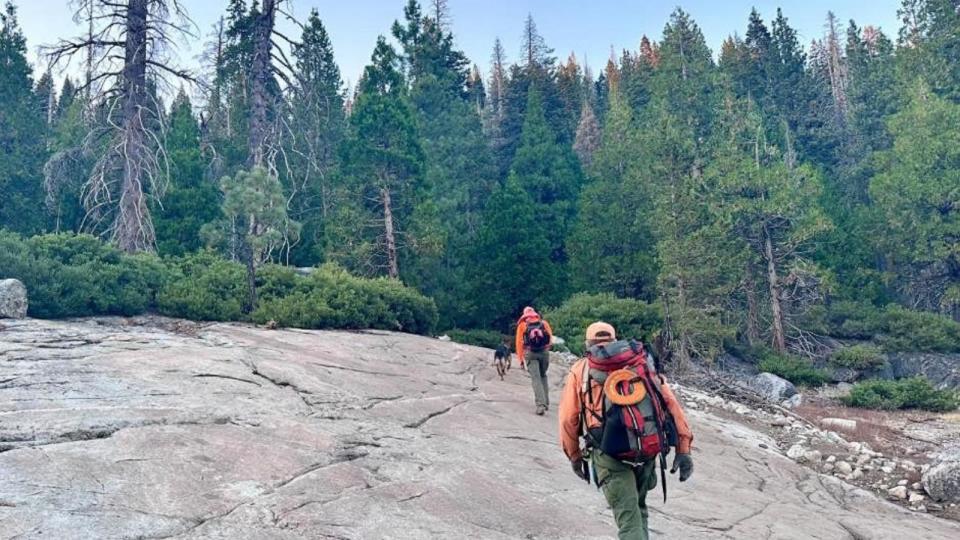 PHOTO: Authorities in Placer County, California, search for missing Jeeper Warren Elliott, who was last seen on July 19, 2024. (Placer County Sheriff's Office)