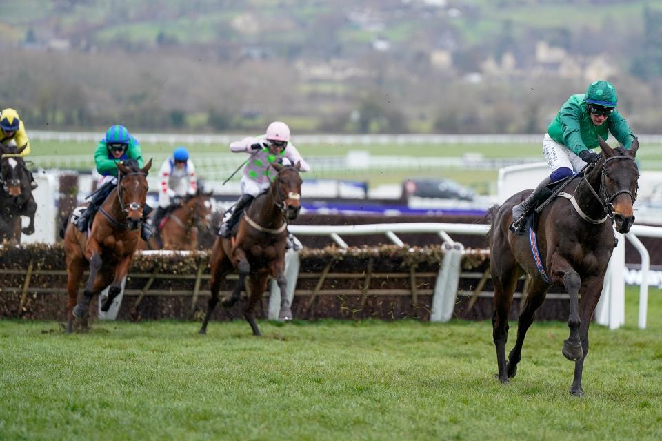 Sir Alex Ferguson’s Hermes Allen is left behind in the Ballymore Novices’ Hurdle (Getty Images)