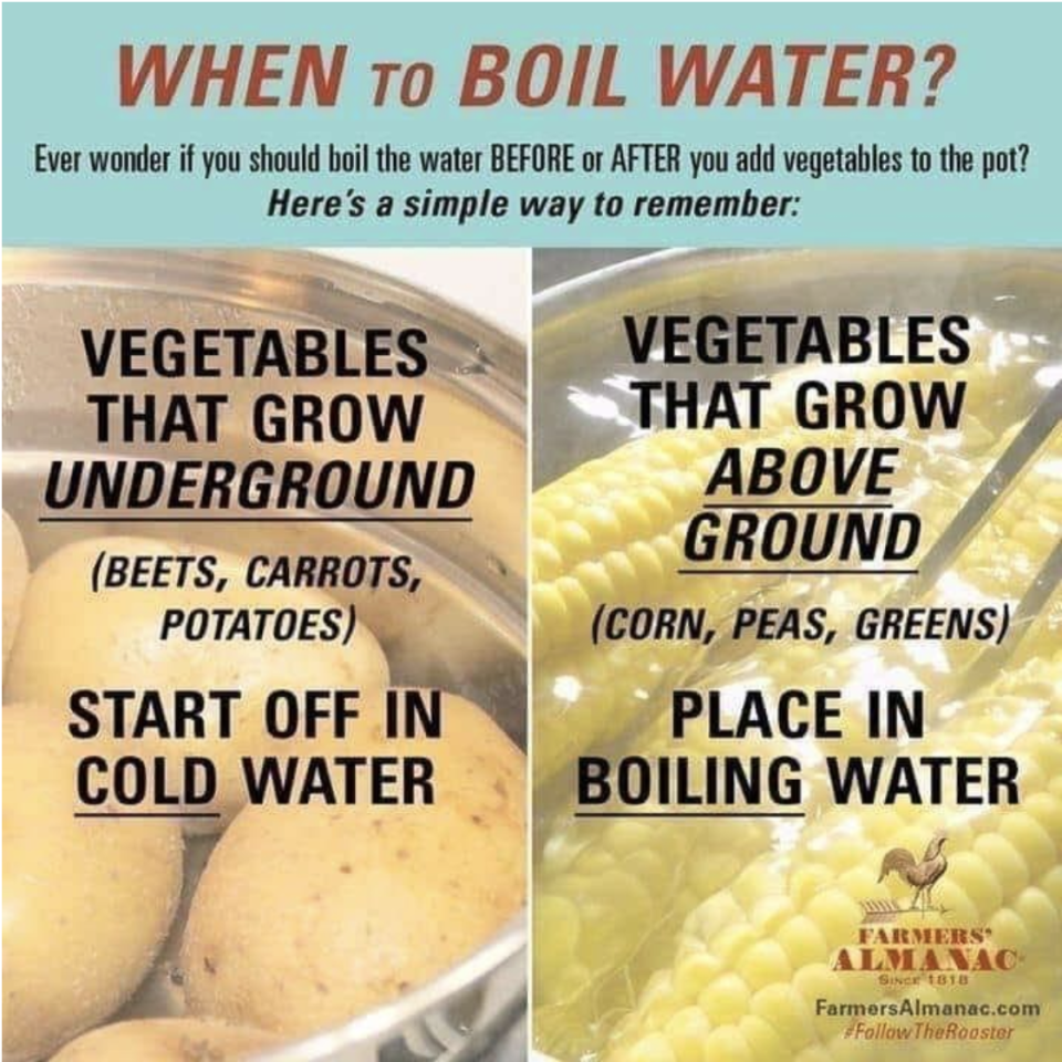 "When to Boil Water"