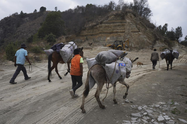 Farmers move their mules loaded with coal, covered with ash from the Popocatepetl volcano that blankets Santiago Xalitzintla, Mexico, Monday, May 22, 2023. The volcano's activity has increased over the past week. Evacuations have not been ordered, but authorities are preparing for that scenario and telling people to stay out of 7.5-mile (12-kilometer) radius around the peak. (AP Photo/Marco Ugarte)