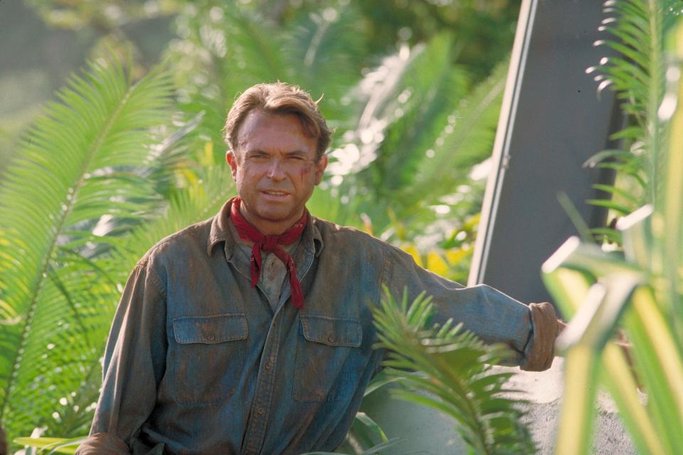 Sam Neill as Dr. Alan Grant