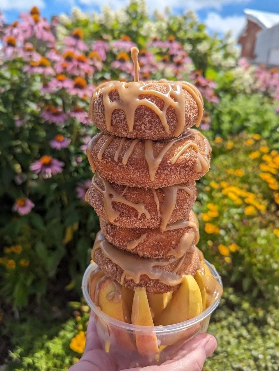 Apple cider doughnuts rest on an apple base in Center Grove Orchard's doughnut tower. Center Grove Orchard is located in Cambridge.