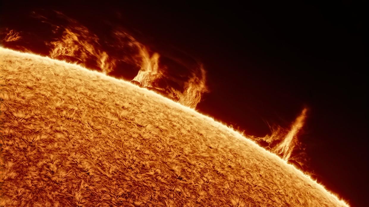  Close up detailed views of the sun shows a fuzzy looking solar surface with large fiery looking filaments stretching high about the surface. 