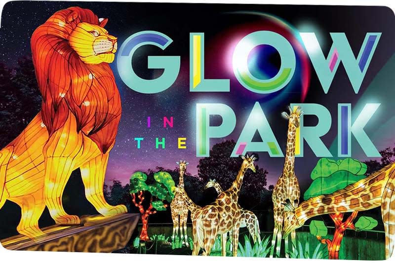 The Living Desert Zoo and Gardens' Glow in the Park event runs select nights now throuh April 28.