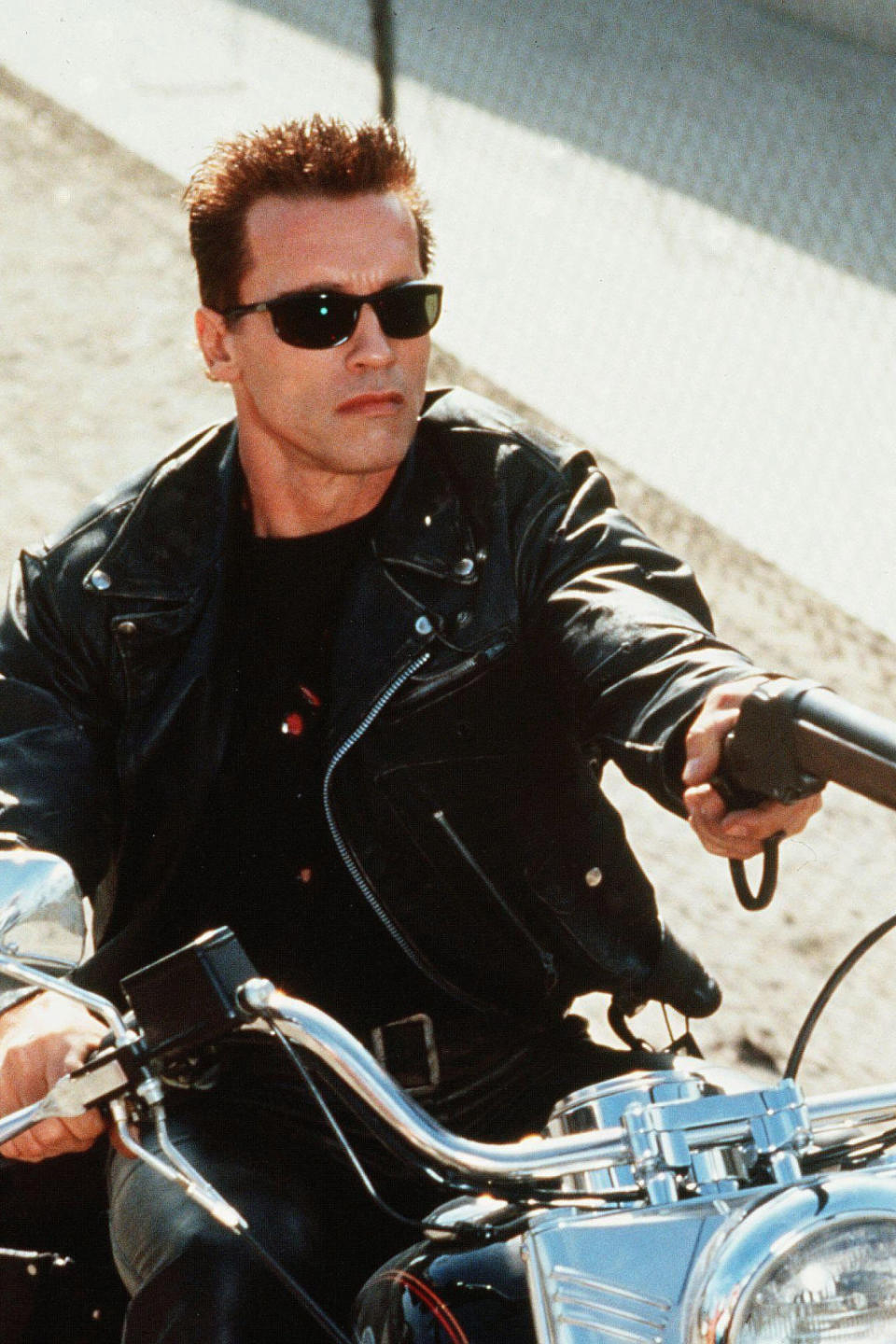 28. Terminator