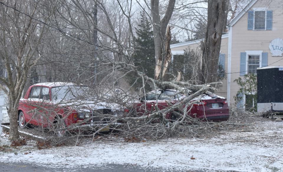A large tree limb brought down the power service to the Toad Hall Classic Sports Car Collection at the Simmons Homestead Inn in Hyannis. Power outages on Cape Cod continued on Saturday following a punishing wind and rain storm on Friday.
