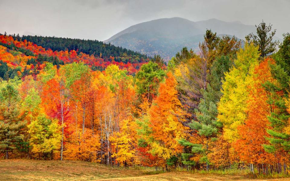 Adirondack Scenic Railroad: New York