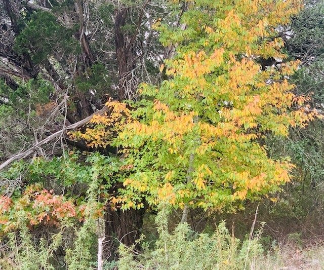 Pedernales State Park has 6 miles of river frontage.