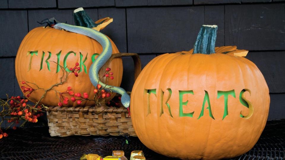 pumpkin carving ideas tricks and treats