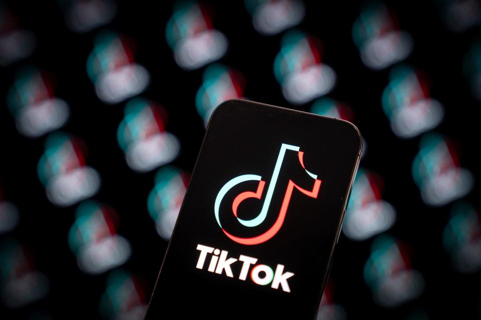 Gen-Alpha-Memes wurden 2023 auf TikTok zum Mainstream. - Copyright: Jaap Arriens/Getty Images