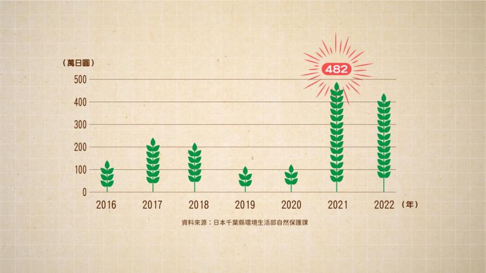 2016 年至 2022 年日本千葉縣通報山羌造成的農作物損失。資料來源：日本千葉縣環境生活部自然保護課