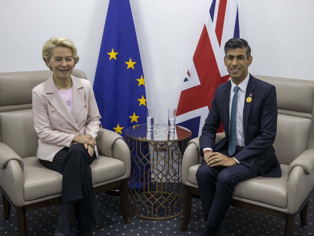 EU Commission president Ursula von der Leyen and Rishi Sunak (PA)