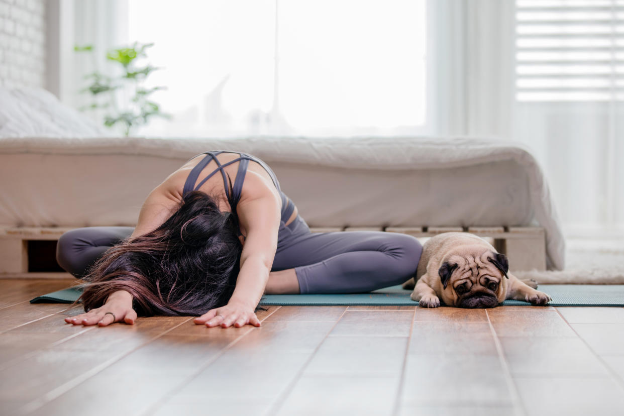 woman practice yoga with dog pug breed enjoy and relax with yoga in bedroom,Recreation with Dog Concept