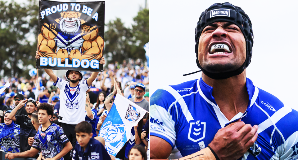 Pictured left are Bulldogs fans and captain Stephen Crichton on the right.